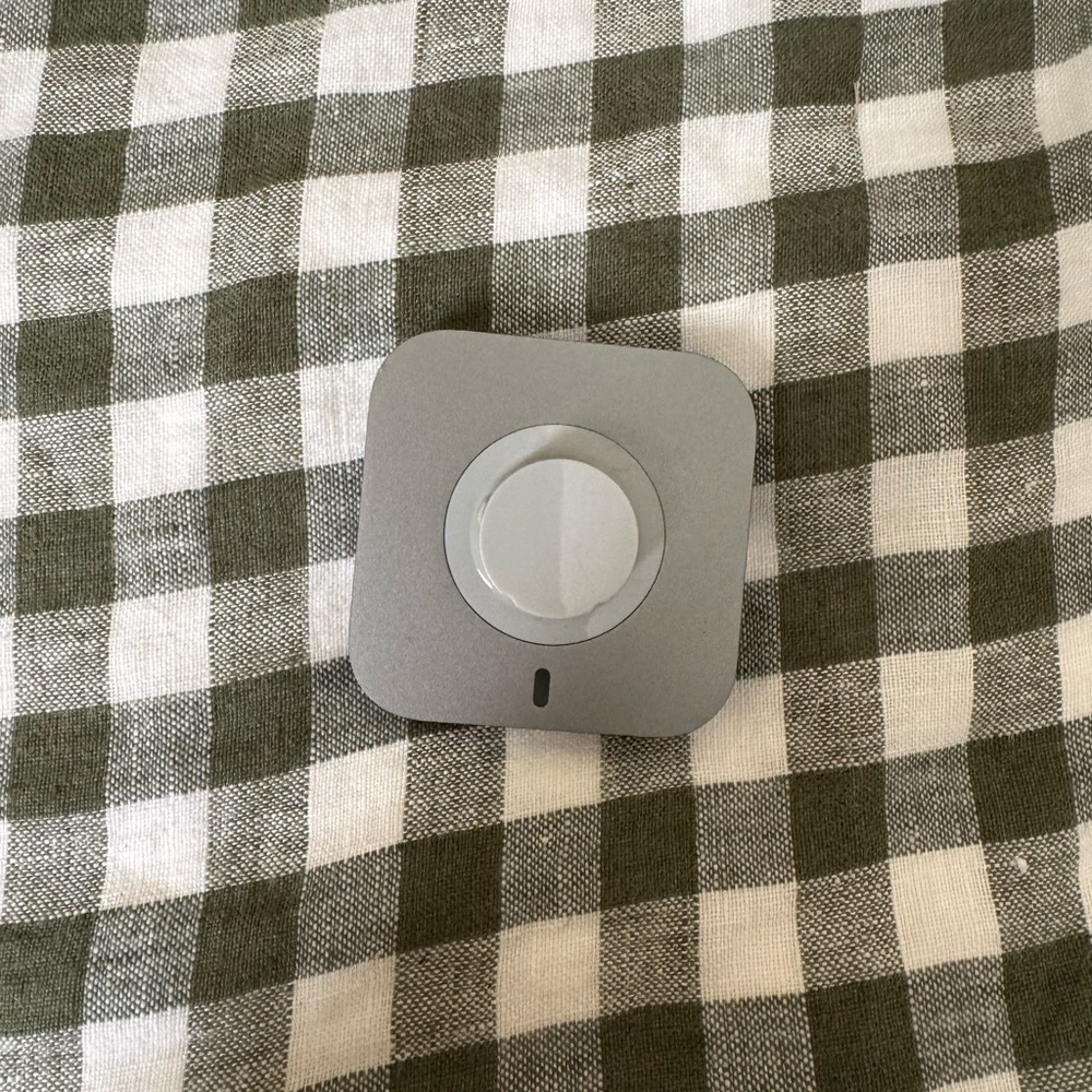 Size 10 oura ring charger